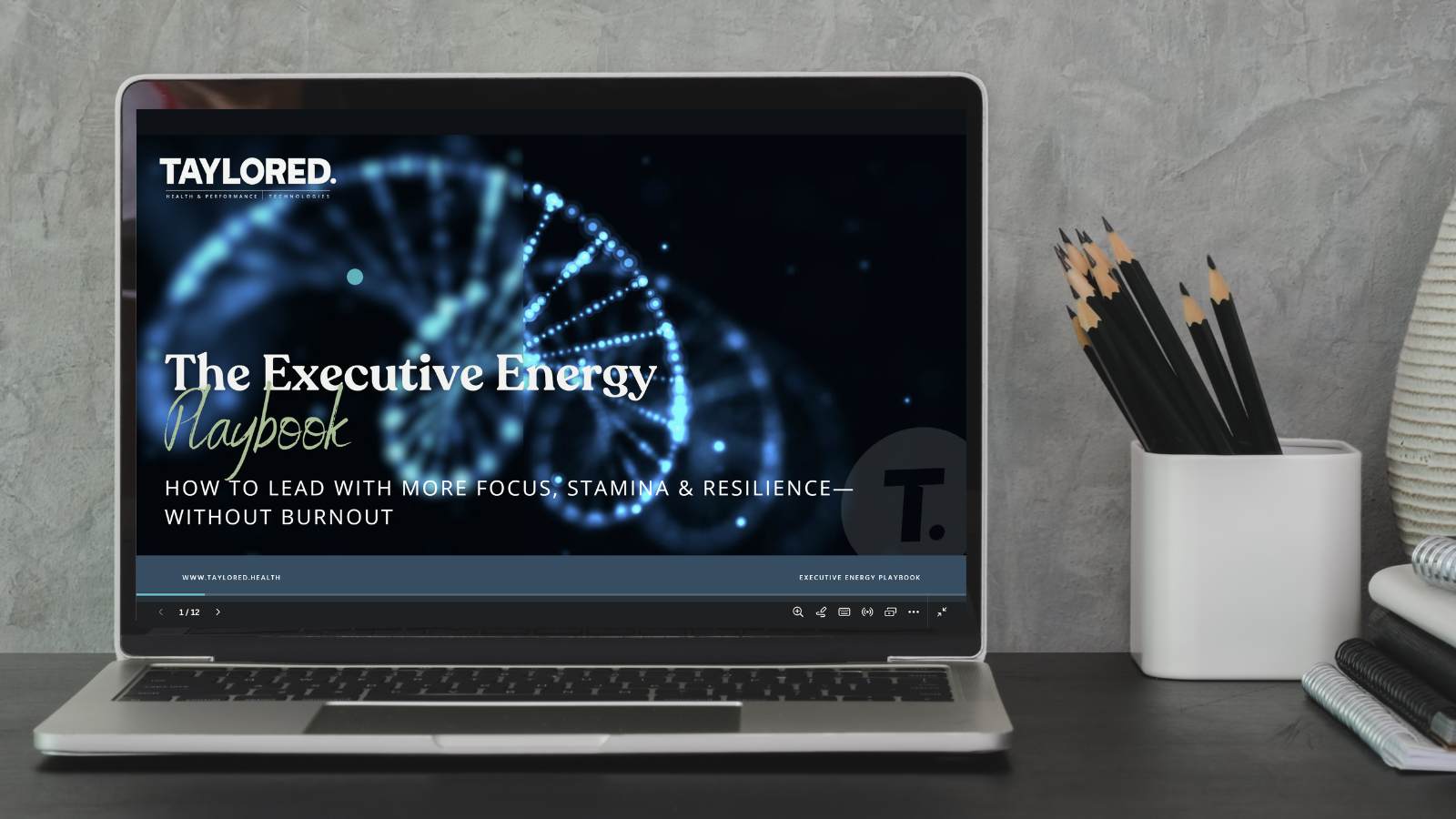 Executive Energy Playbook