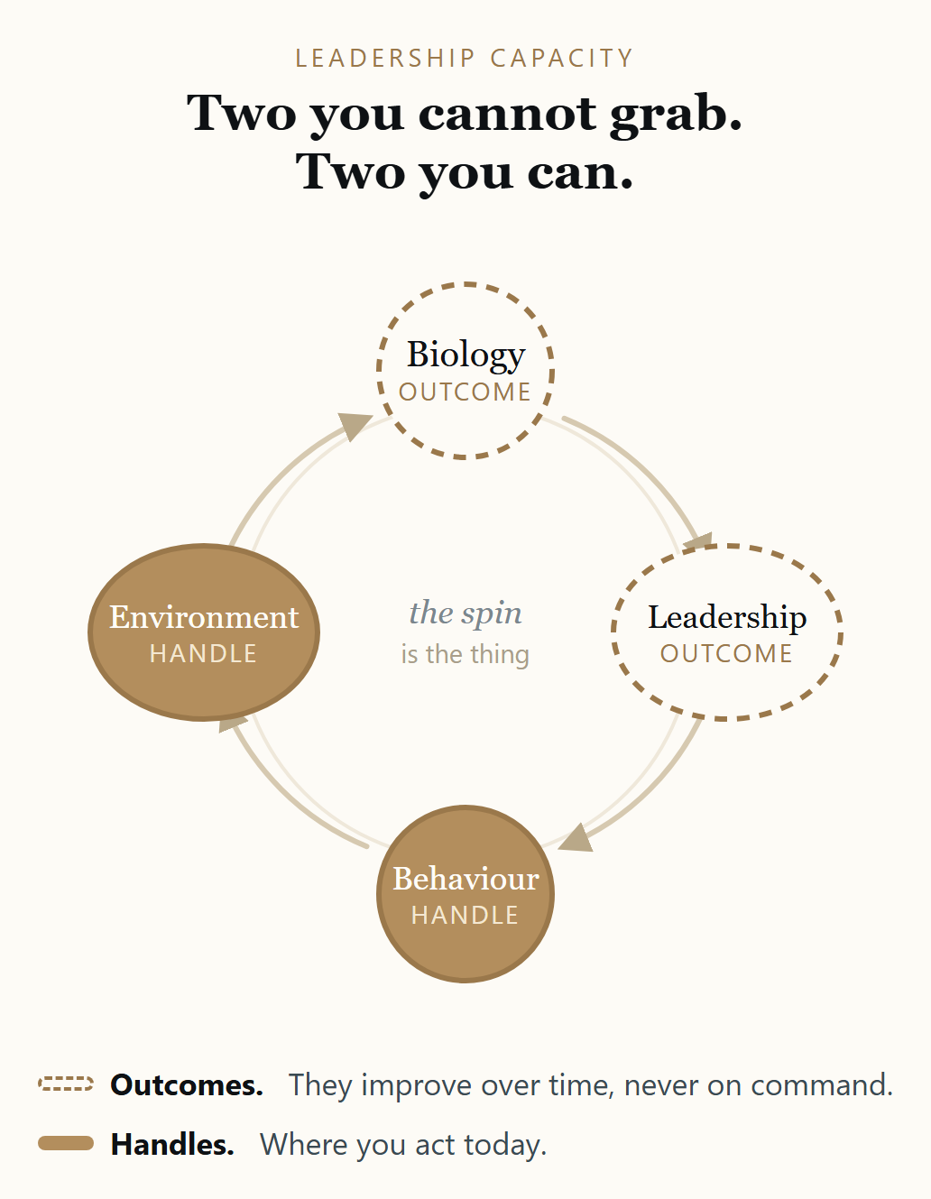 The capacity wheel. Biology and leadership are outcomes: they improve over time but never on command. Behaviour and environment are the handles you act on today.