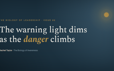 The warning light dims as the danger climbs