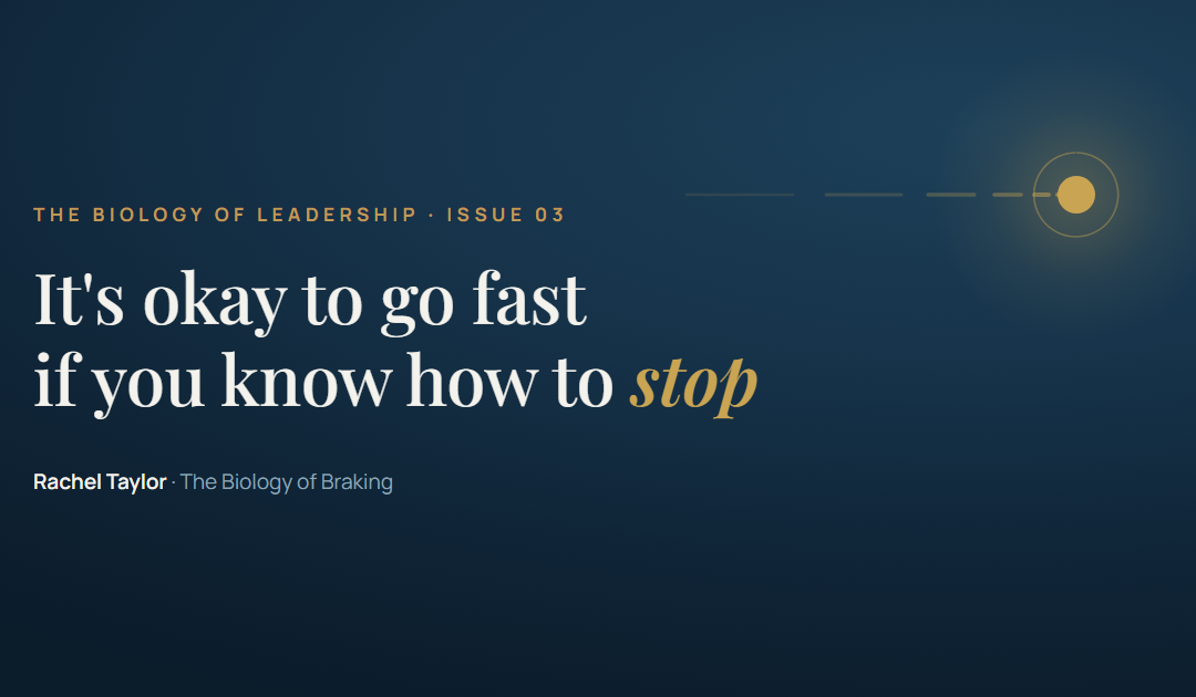 It’s okay to go fast if you know how to stop