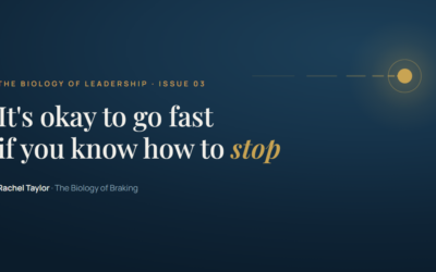 It’s okay to go fast if you know how to stop