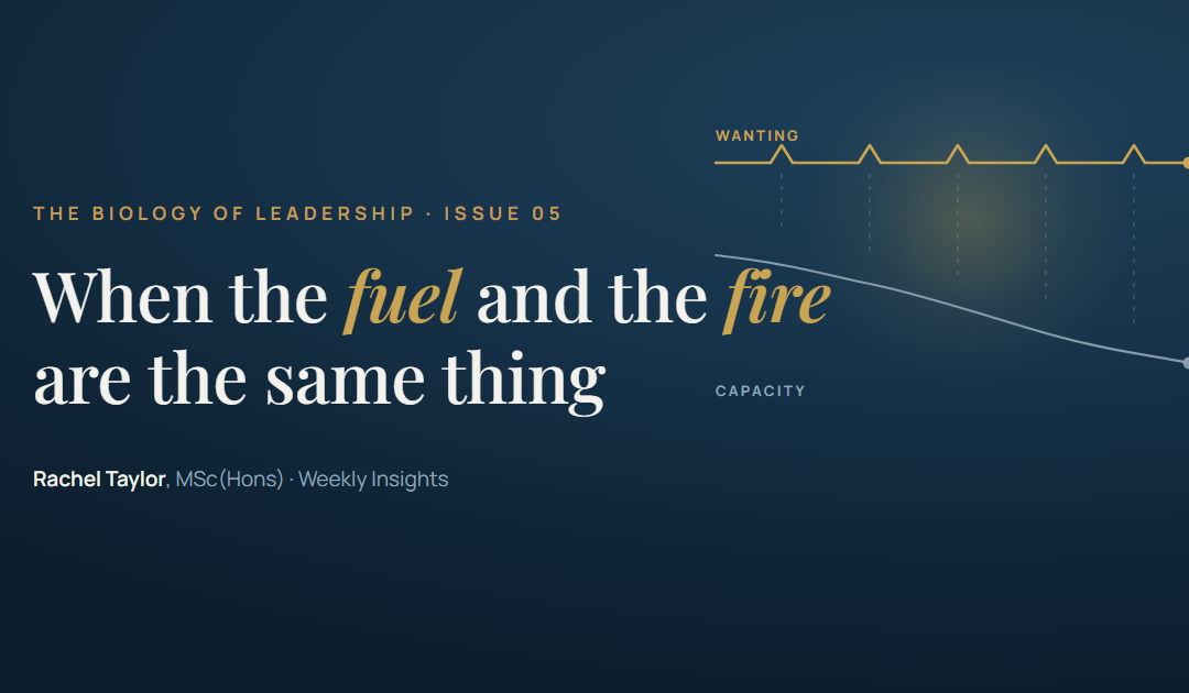 When the fuel and the fire are the same thing