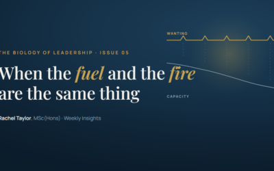 When the fuel and the fire are the same thing