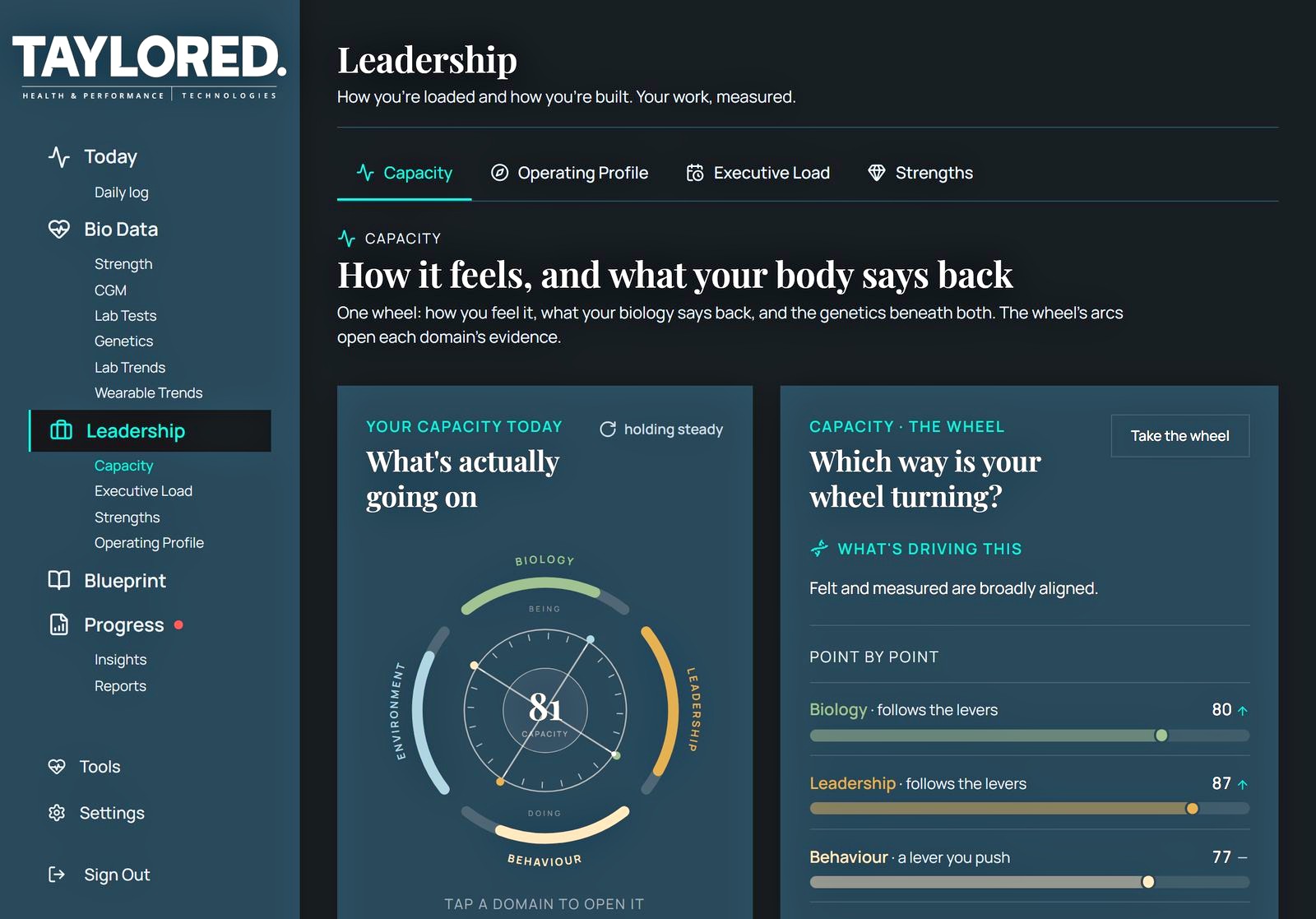 ExecOS on iPad: the Leadership Capacity Wheel at 81, with the point-by-point breakdown of what&rsquo;s driving it